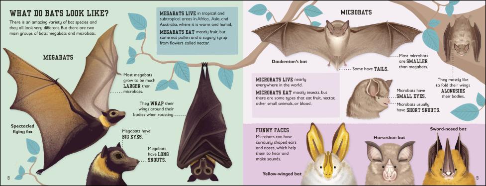 Illustrated educational page from The Bat Book showing various bat species with facts about their features and behaviors.
