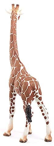 Giraffe Female