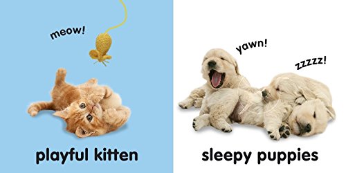 Touch & Feel Puppies and Kittens board book with playful kitten and sleepy puppies featuring sensory textures for babies.