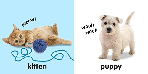 Touch & Feel Animals showing a playful kitten with yarn and a fluffy white puppy on colorful backgrounds.