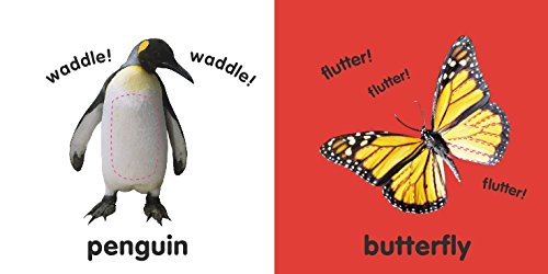 Touch & Feel Animals book pages showing a penguin with textured belly and a butterfly with vibrant wings.