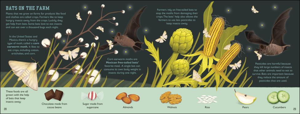 Illustration from The Bat Book showing bats pollinating crops like corn, artichokes, and cacao on a farm.