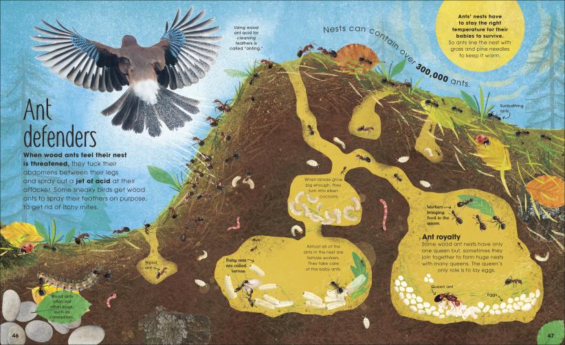 Brilliant Book of Bugs open to illustrated page showing ant defenders and ant colony underground tunnels.