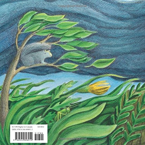 Illustration from Possum and the Summer Storm showing a possum perched on a tree branch amid swirling storm clouds.
