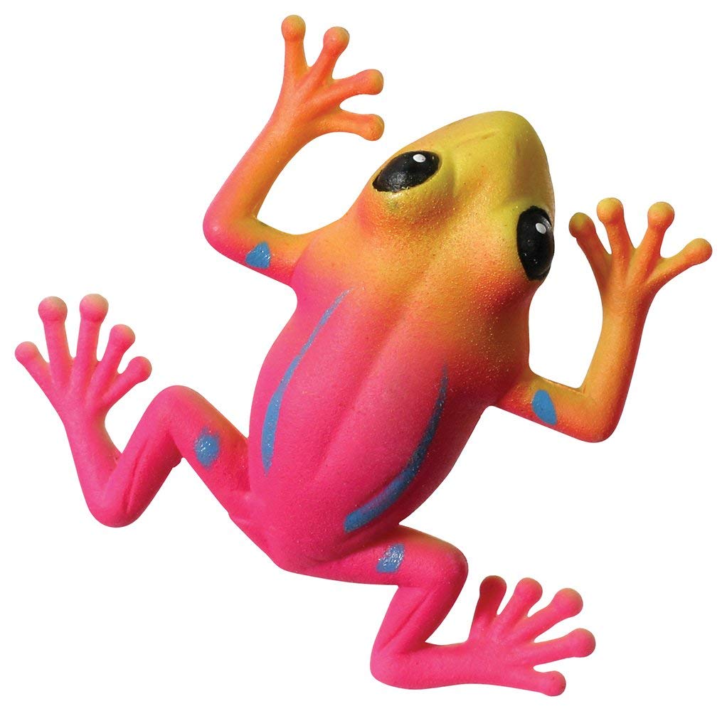 Bright multicolored Grow Frog toy showing vibrant pink and orange colors with blue accents and extended limbs.