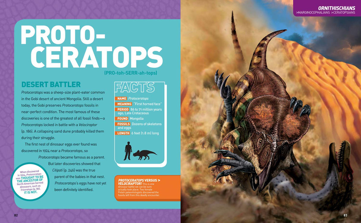 Ultimate DinoPedia showing colorful illustration and facts about the dinosaur Protoceratops desert battler.