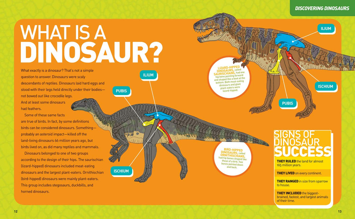 Ultimate DinoPedia open to colorful dinosaur illustrations explaining what a dinosaur is and signs of dinosaur success.
