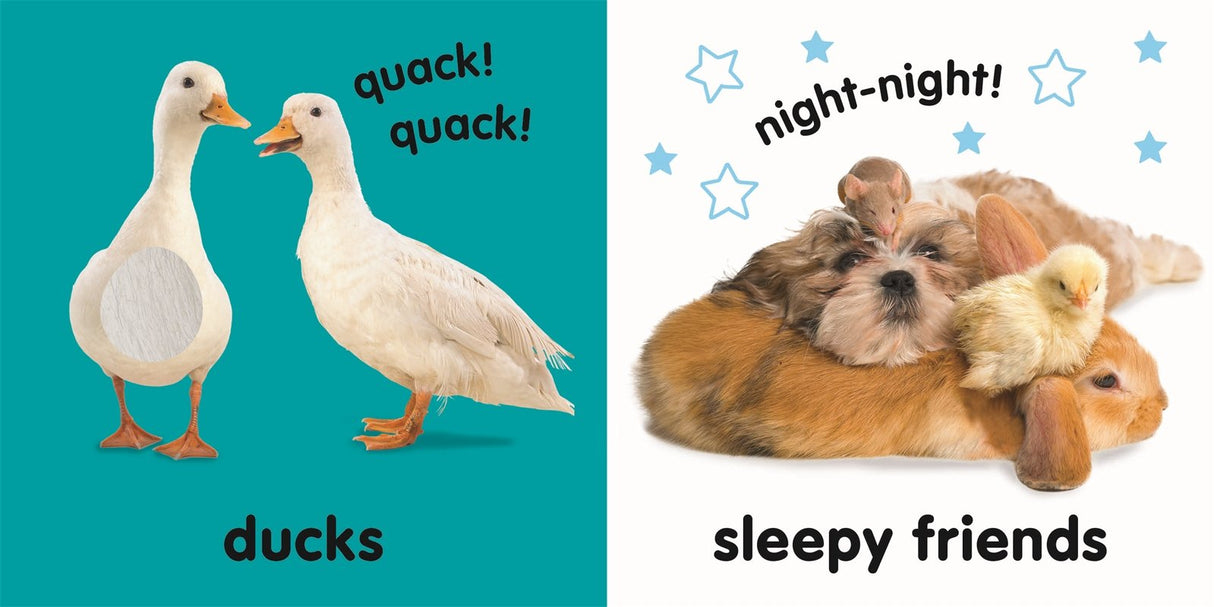 Touch & Feel Farm Friends with ducks and sleepy farm animals featuring tactile elements for babies and toddlers.