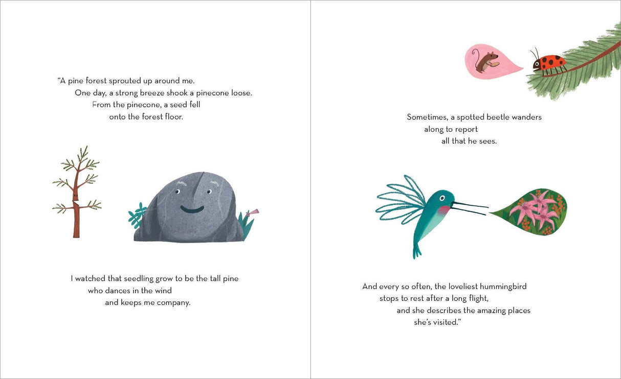 Old Rock is Not Boring book illustration with a happy rock, spotted beetle, tall pine, and hummingbird in a pine forest.