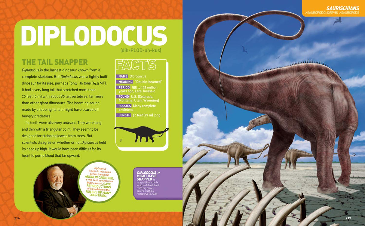 Ultimate DinoPedia showing Diplodocus dinosaur facts with detailed colorful illustrations and descriptions for kids.