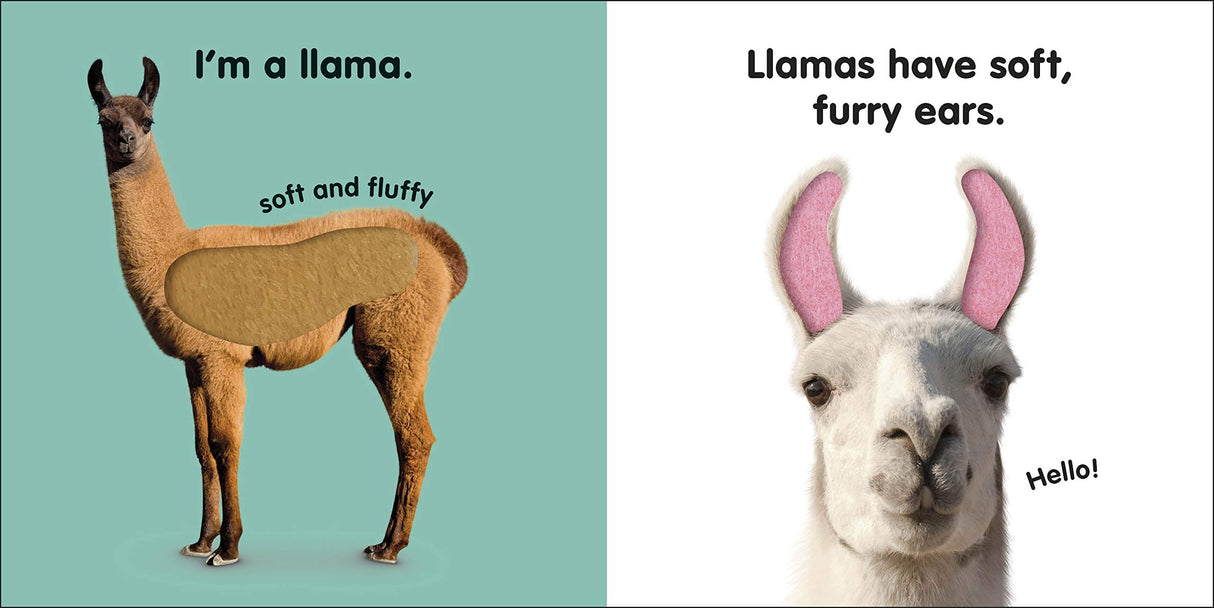 Touch & Feel Llama board book pages showing a llama with soft textured patch and furry ears for tactile exploration.