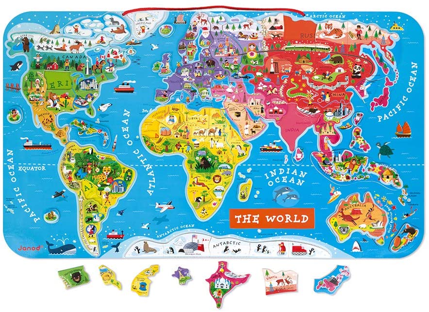 World Magnetic Map