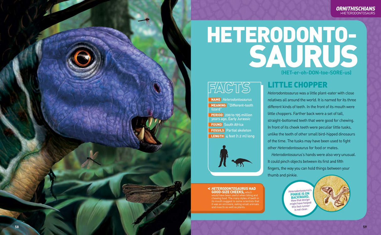 Ultimate DinoPedia page featuring a detailed, illustrated Heterodontosaurus dinosaur with facts and descriptions.
