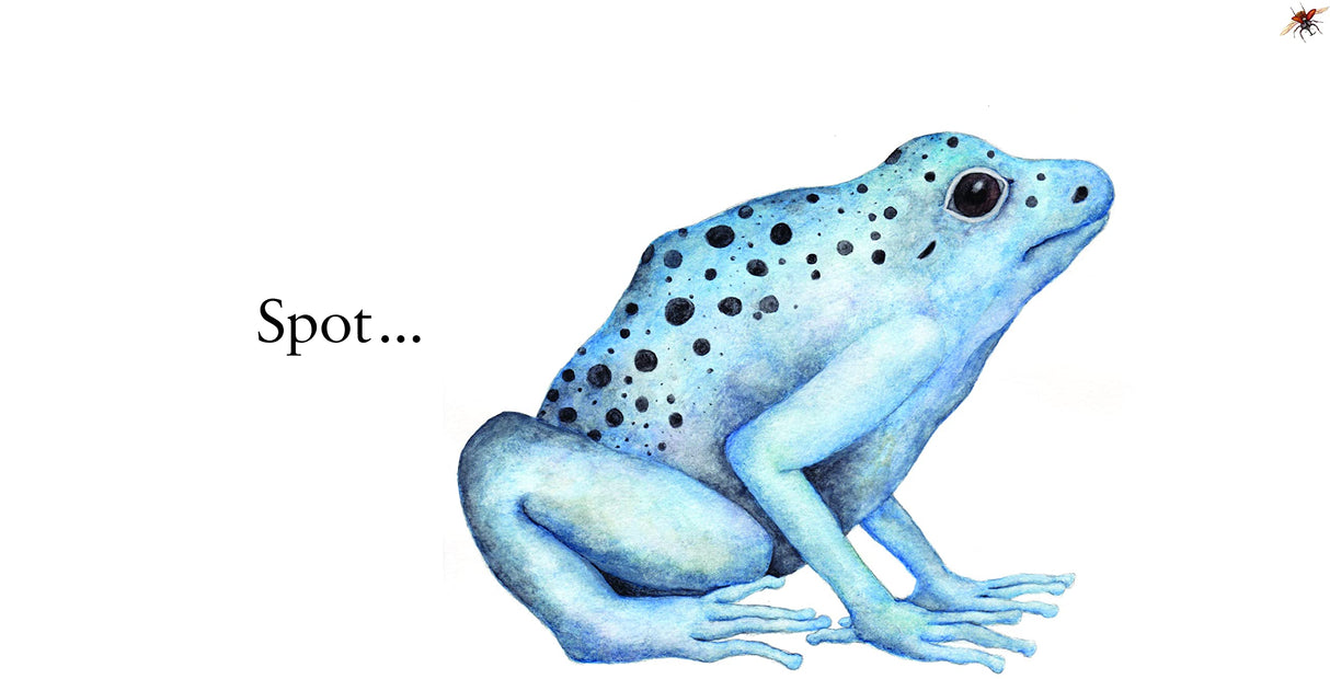 Spot Spike Spiral featuring an illustrated blue frog with black spots introducing patterns for kids.