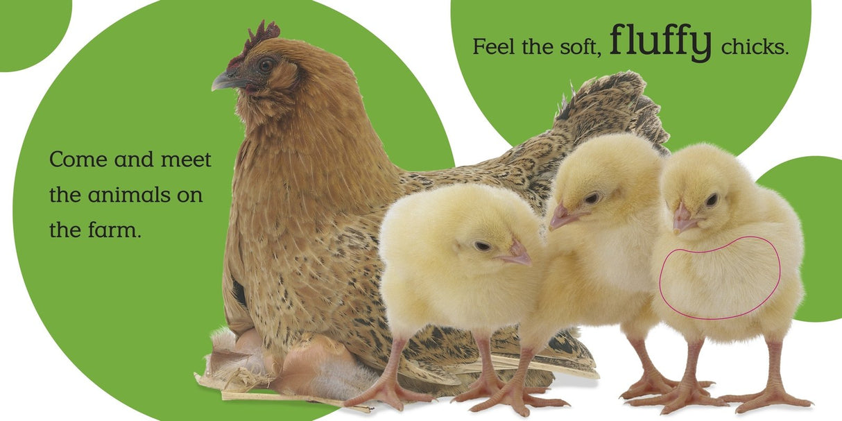 Touch & Feel Farm board book page shows fluffy baby chicks and a hen inviting kids to meet farm animals and explore textures.
