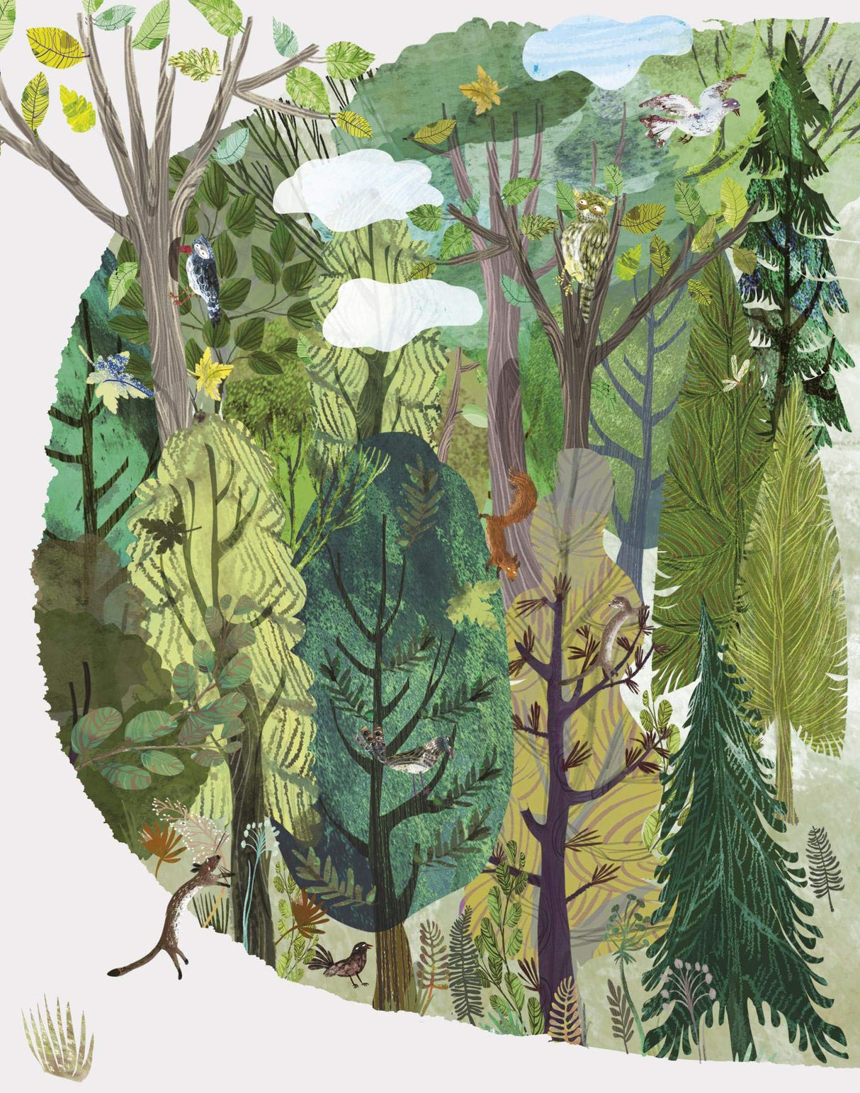 Illustration of a vibrant forest with various animals and trees in "The Tree That's Meant to Be" book.