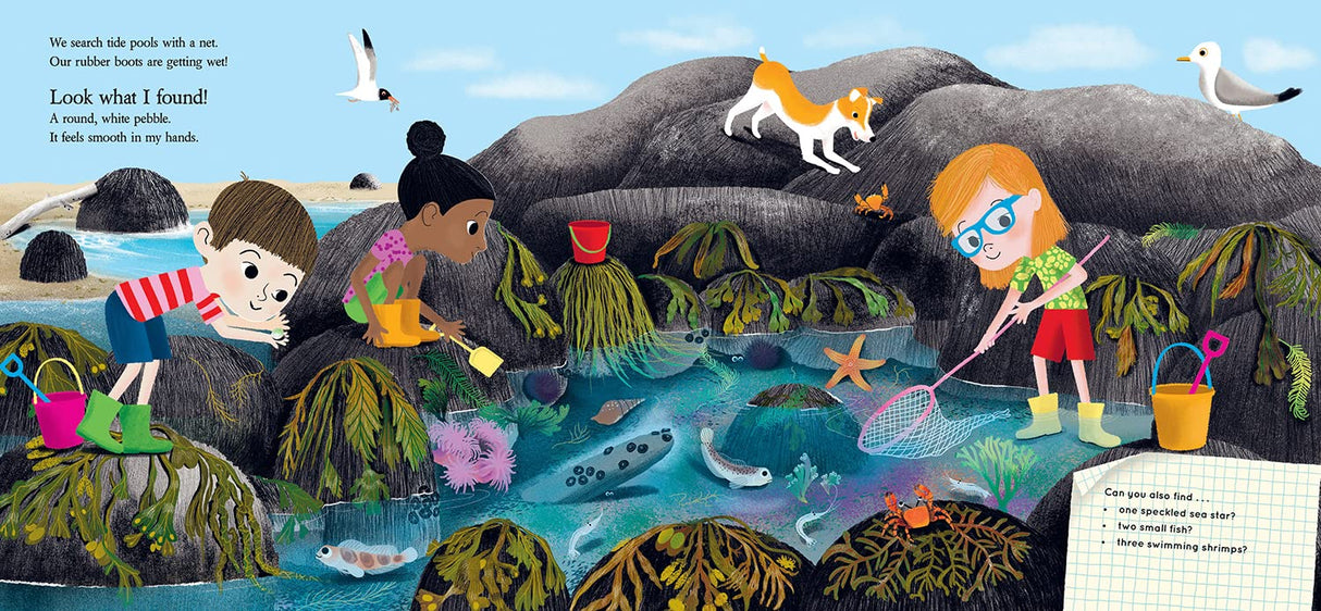 Illustration from Look What I Found at the Beach shows children exploring tide pools with nets and discovering marine life.