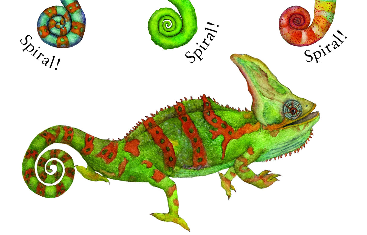 Spot Spike Spiral board book illustration of a green chameleon with a spiraled tail and colorful spiral patterns.
