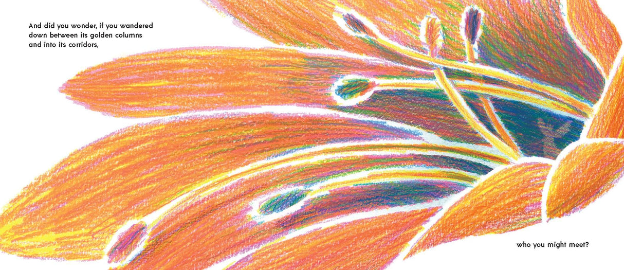 Have You Ever Seen a Flower? illustration showing a close-up of orange flower petals and stamens in vibrant colors.