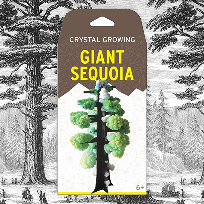 Crystal Grow Giant Sequoia