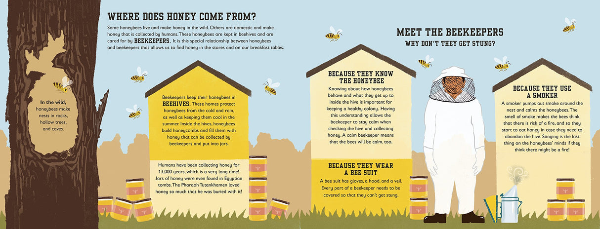 The Bee Book spread explaining where honey comes from and how beekeepers work with bees safely.