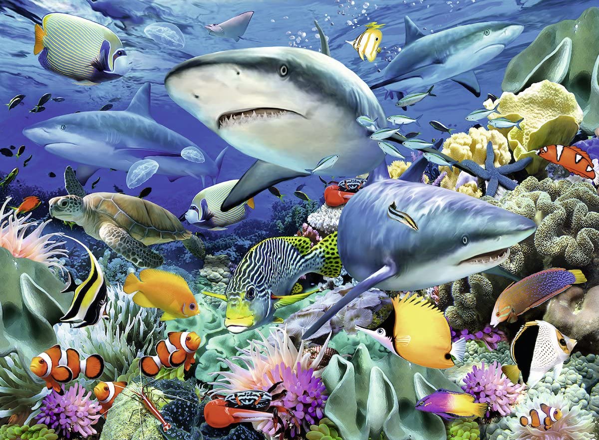 100pc Shark Reef Puzzle featuring colorful coral reef with sharks, sea turtles, clownfish, and various tropical fish.