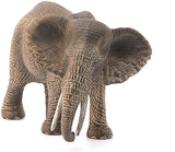 Elephant African Female