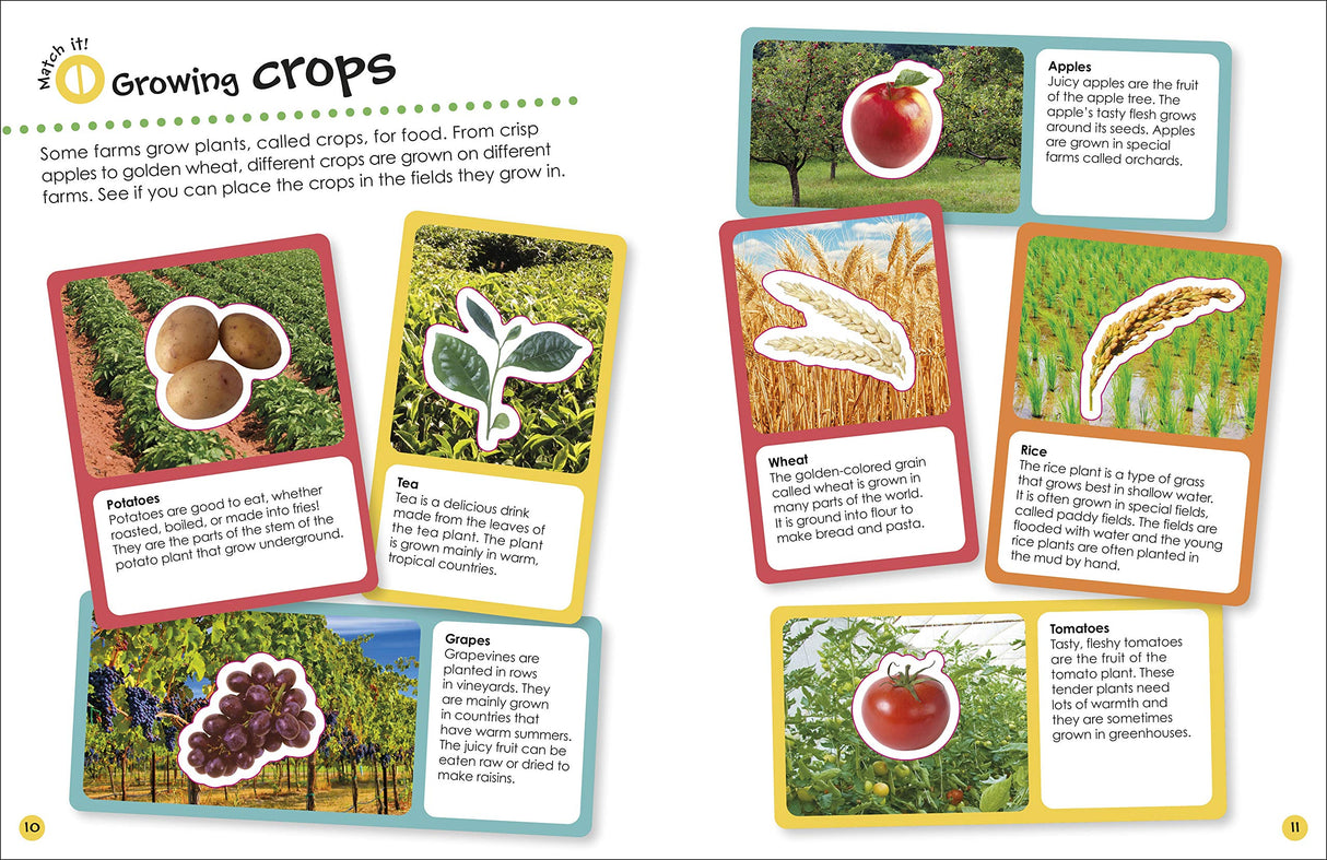 Ultimate Sticker Book | Farm page showing colorful crop stickers like potatoes, tea, grapes, wheat, rice, and tomatoes with fun facts.