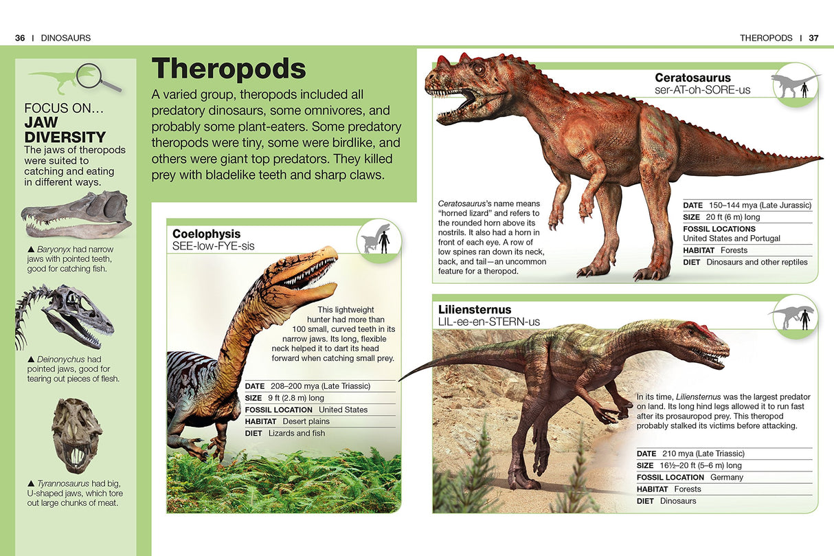 Pocket Genius Dinosaurs page showing theropod dinosaur profiles with detailed facts and illustrations.