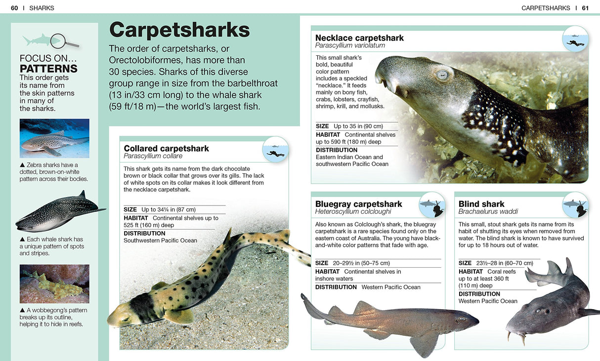 Pocket Genius Sharks showing detailed profiles and images of carpetsharks including collared and necklace carpetshark species.