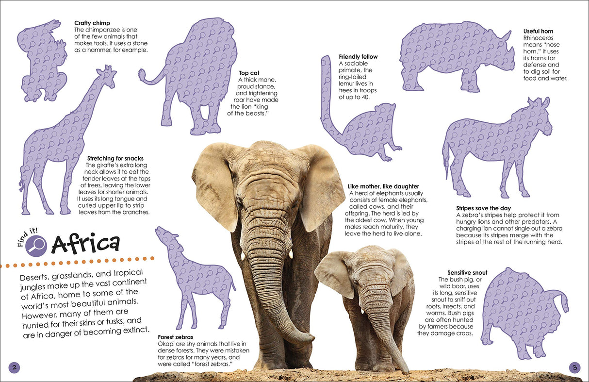 Ultimate Sticker Book | Animals featuring African wildlife with reusable animal stickers and fun facts for kids ages 5 and up.