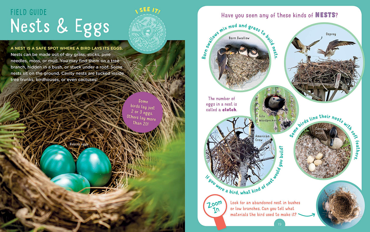 Backpack Explorer: Bird Watch field guide page showing nests, eggs, and bird species with educational activities.