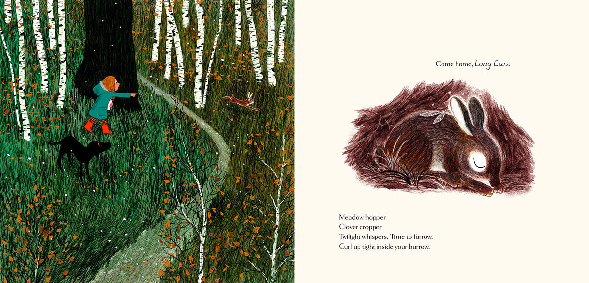 Woodland Dreams showing a child with a black dog in a birch forest and a sleeping rabbit illustration.