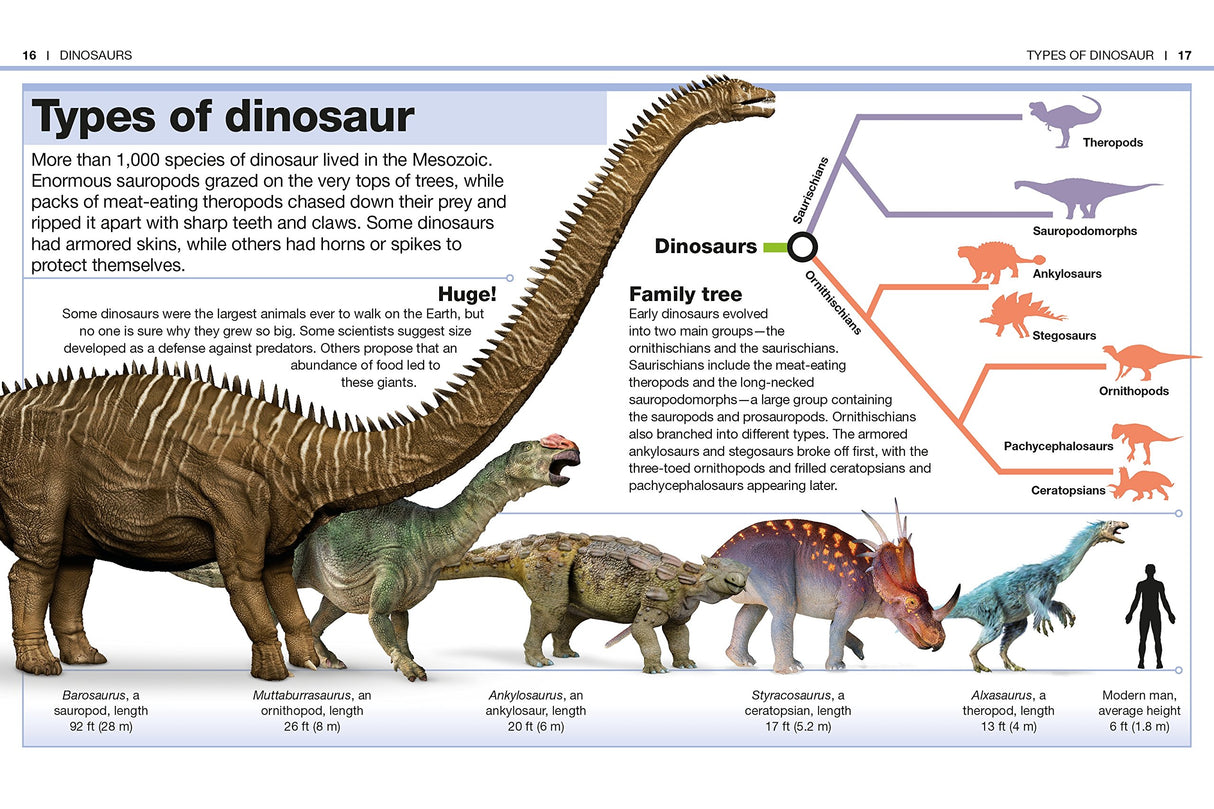 Pocket Genius Dinosaurs showing various dinosaur types with illustrations and size comparisons in a compact, educational guide.