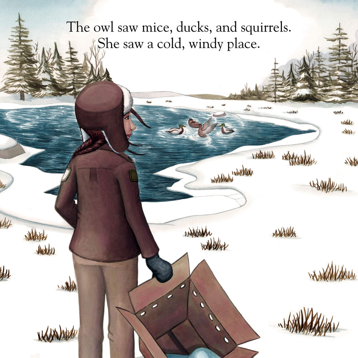 A child in winter clothes watches ducks by a snowy pond in the board book A Snowy Owl Story.