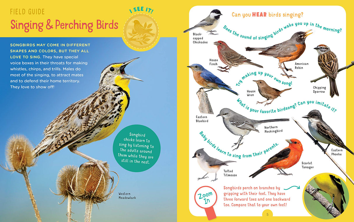 Backpack Explorer: Bird Watch page showing colorful singing and perching birds with interactive bird identification guide.