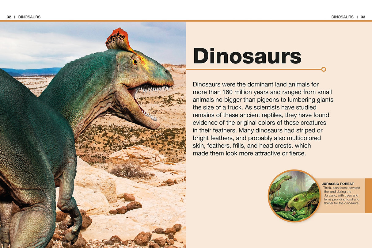 Pocket Genius Dinosaurs book showing colorful dinosaur illustration and informative text about dinosaur history and features.