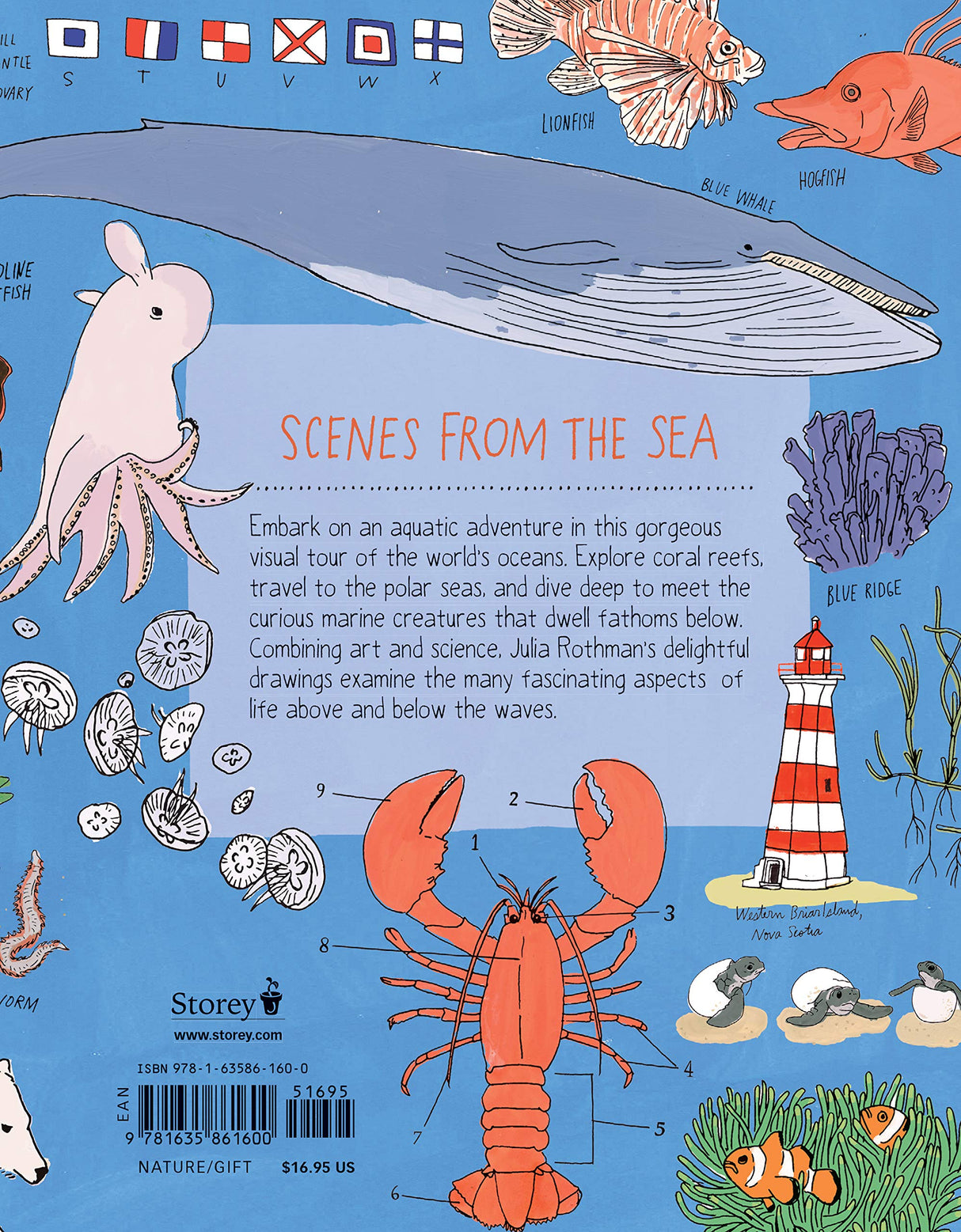 Ocean Anatomy book back cover with colorful sea creatures, lighthouse, and educational ocean illustrations.