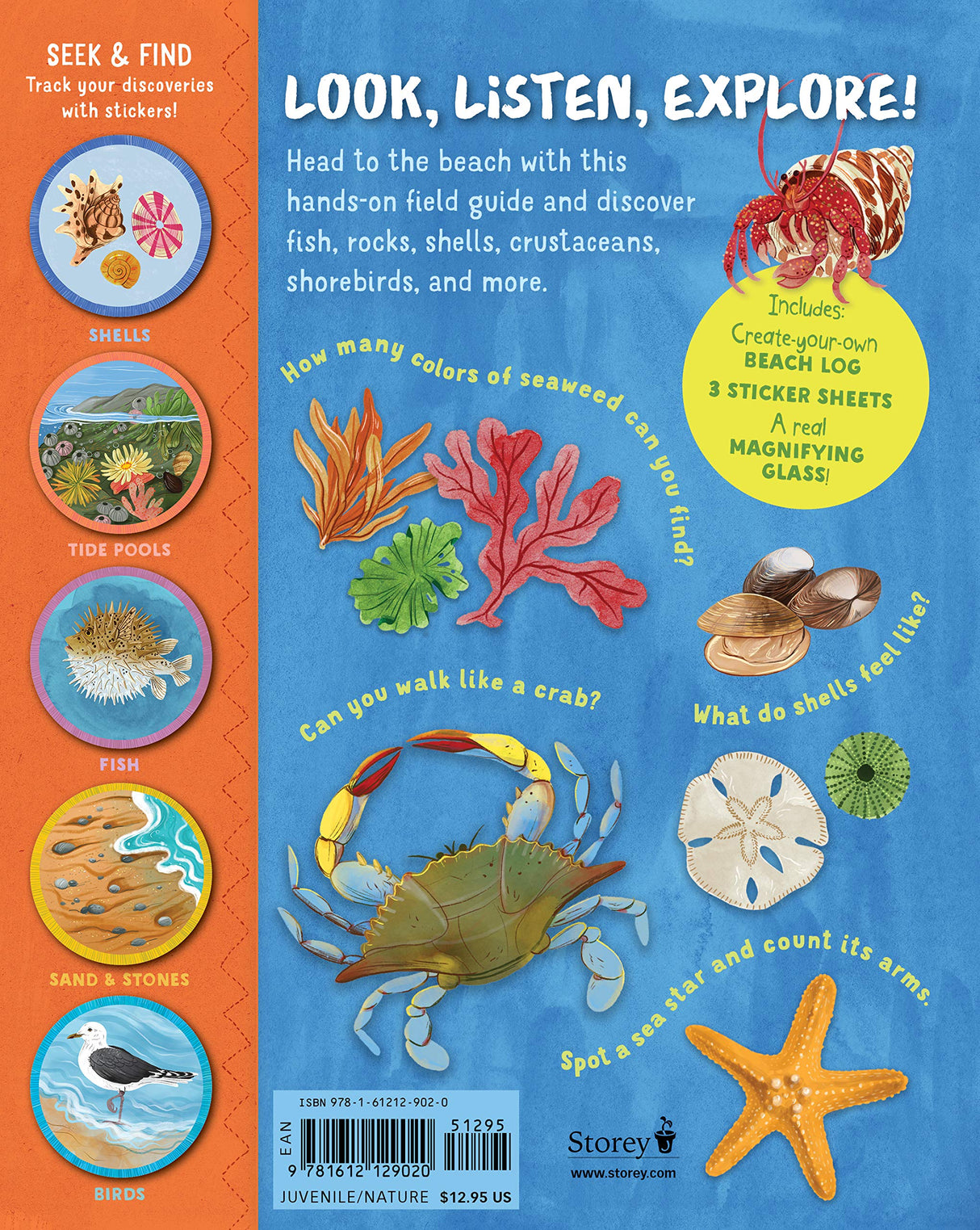 Backpack Explorer: Beach Walk book cover showing beach creatures, activities, magnifying glass, and sticker sheets for kids.