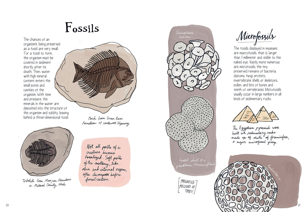 Nature Anatomy book pages showing fossil and microfossil illustrations with educational descriptions.
