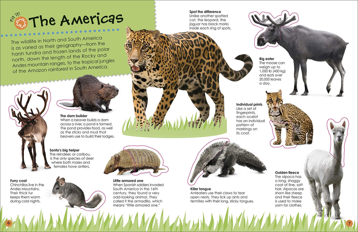 Ultimate Sticker Book | Animals showing illustrated animals like jaguar, moose, and pampas deer in a colorful activity page.