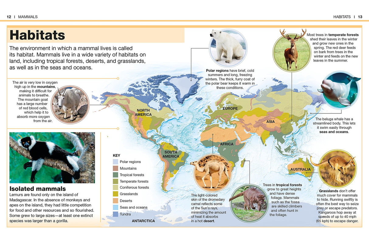 Pocket Genius Mammals book open to habitat map showing mammal distribution across continents and environments.