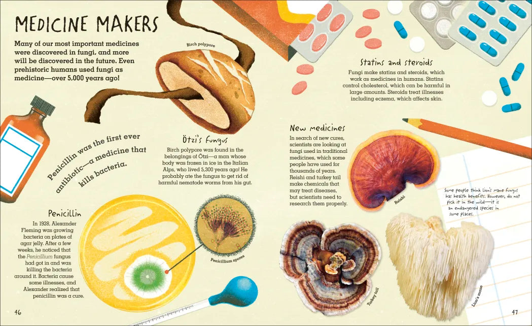 Humongous Fungus book page illustrating fungi as medicine makers with colorful mushroom drawings and pills.