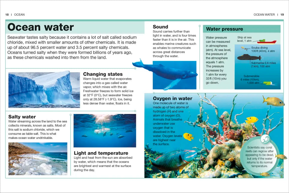 Pocket Genius Ocean showing ocean water facts, marine life, water pressure, sound, oxygen, and temperature information.