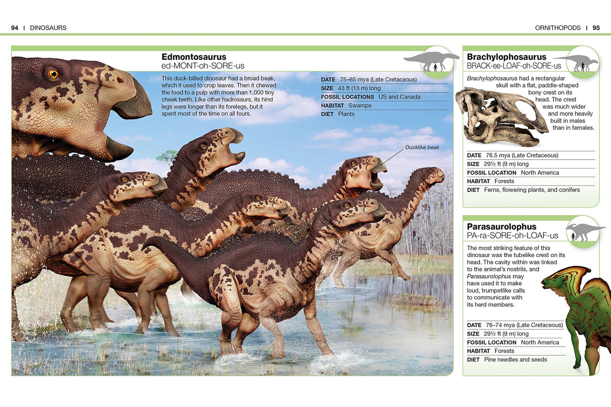 Pocket Genius Dinosaurs book page showing Edmontosaurus family with facts on fossils, habitat, and diet.