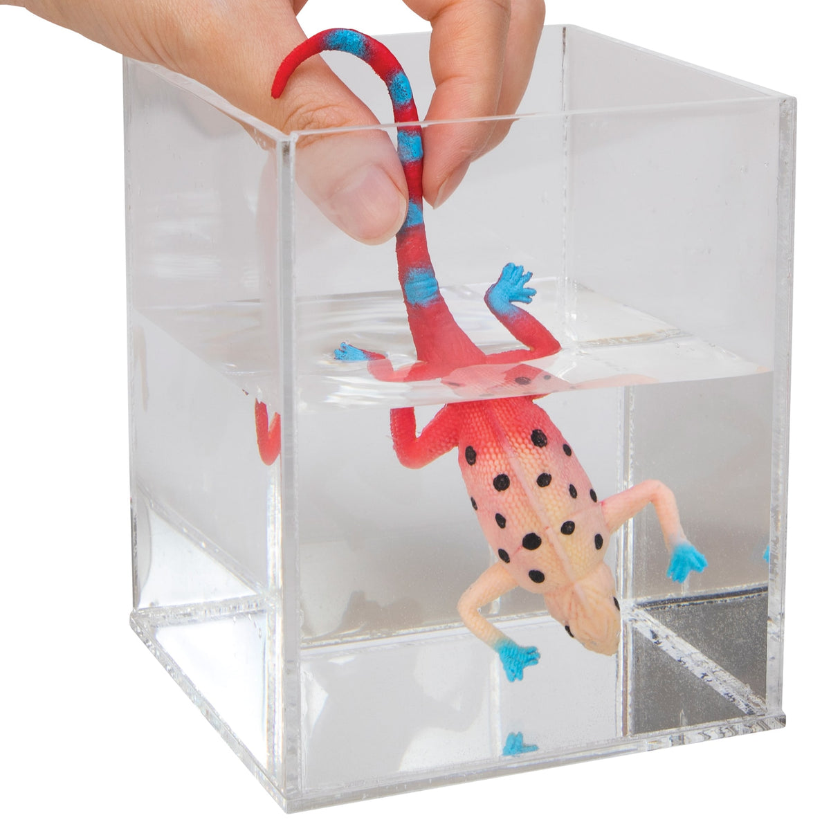 Hand holding a red and blue Color Changing Revealeons toy submerged partially in clear water.