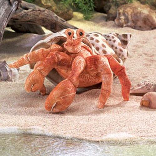 Hermit Crab Puppet with bright orange body and soft patterned shell on sandy beach near water edge.