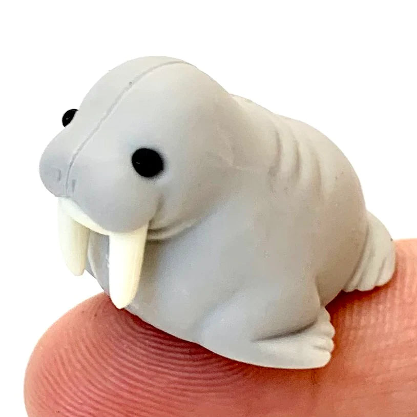 Japanese Eraser Sea Friend walrus design eraser on fingertip, cute and collectible sea animal eraser toy.