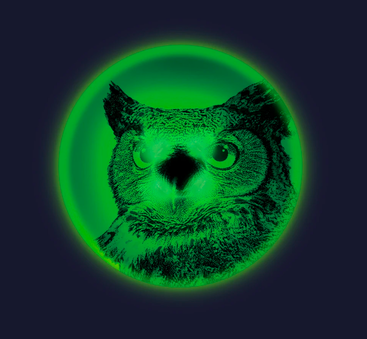 Waboba Wingman Disc UFO LED glowing green with an owl design, featuring bright light for night play.
