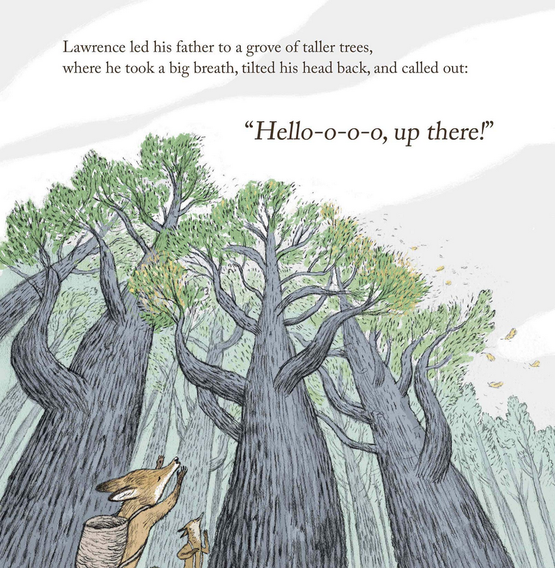 Illustration from Lawrence in the Fall showing Lawrence and his father looking up at tall trees in a forest.